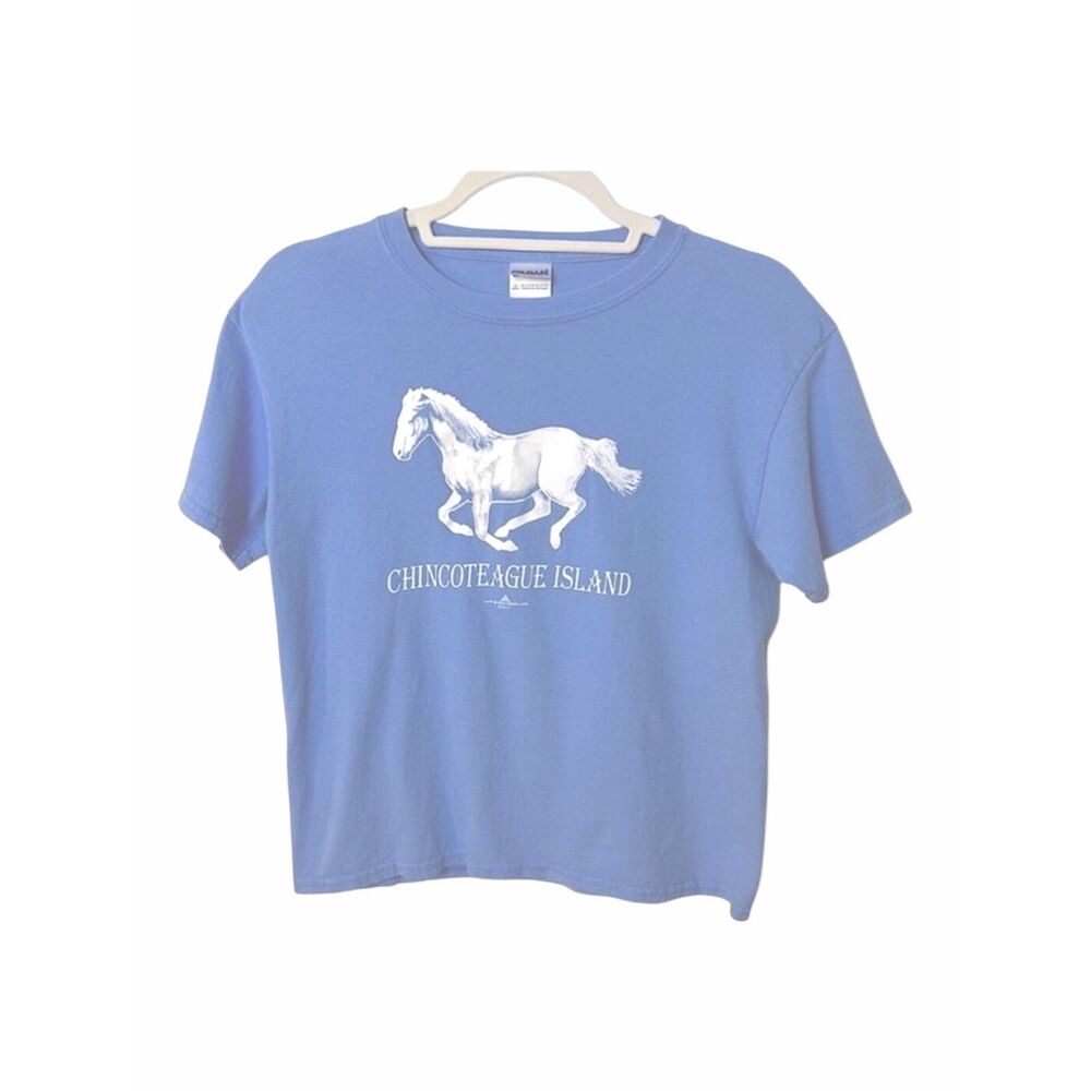 Chincoteague Island Wild Pony Horse Graphic T-Shirt Blue Youth L